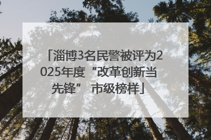 淄博3名民警被评为2025年度“改革创新当先锋” 市级榜样