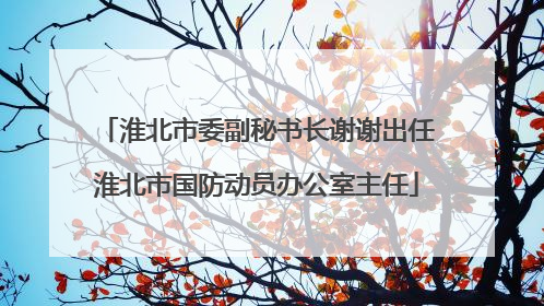 淮北市委副秘书长谢谢出任淮北市国防动员办公室主任