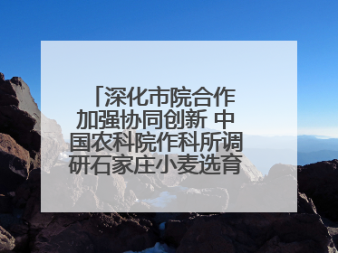 深化市院合作 加强协同创新 中国农科院作科所调研石家庄小麦选育种等工作