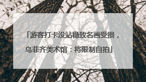 游客打卡没站稳致名画受损，乌菲齐美术馆：将限制自拍