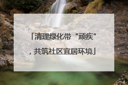 清理绿化带“顽疾”，共筑社区宜居环境