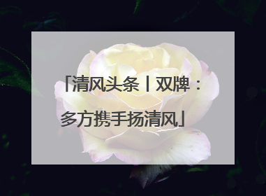 清风头条丨双牌：多方携手扬清风
