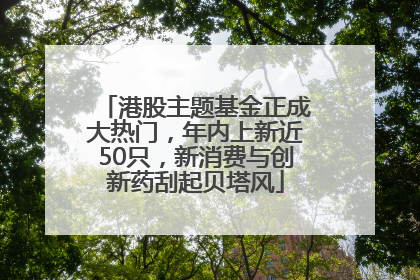 港股主题基金正成大热门，年内上新近50只，新消费与创新药刮起贝塔风