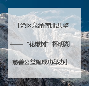 湾区泉涌·南北共擎——“花楸树”杯明湖慈善公益跑成功举办