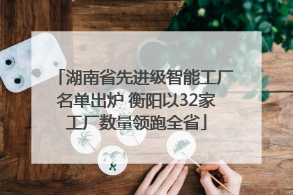 湖南省先进级智能工厂名单出炉 衡阳以32家工厂数量领跑全省