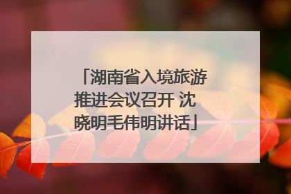 湖南省入境旅游推进会议召开 沈晓明毛伟明讲话