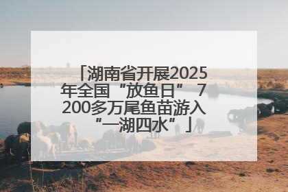 湖南省开展2025年全国“放鱼日” 7200多万尾鱼苗游入“一湖四水”