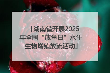 湖南省开展2025年全国“放鱼日”水生生物增殖放流活动