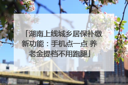 湖南上线城乡居保补缴新功能：手机点一点 养老金提档不用跑腿