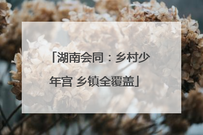 湖南会同：乡村少年宫 乡镇全覆盖