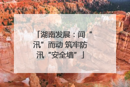 湖南发展：闻“汛”而动 筑牢防汛“安全墙”