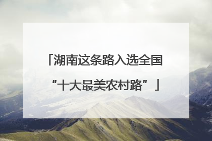 湖南这条路入选全国“十大最美农村路”