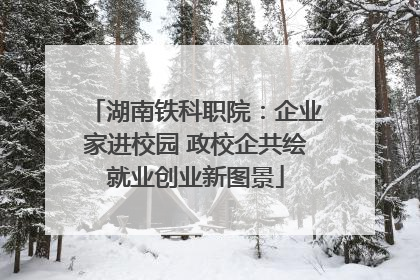 湖南铁科职院：企业家进校园 政校企共绘就业创业新图景