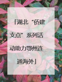 湖北“侨建支点”系列活动助力鄂州连通海外