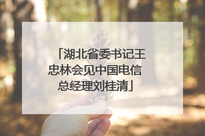 湖北省委书记王忠林会见中国电信总经理刘桂清