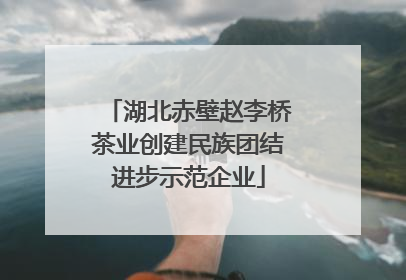 湖北赤壁赵李桥茶业创建民族团结进步示范企业
