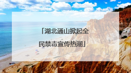 湖北通山掀起全民禁毒宣传热潮