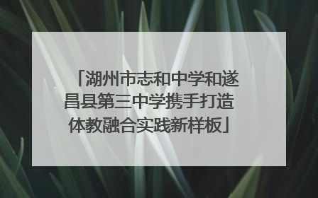 湖州市志和中学和遂昌县第三中学携手打造体教融合实践新样板