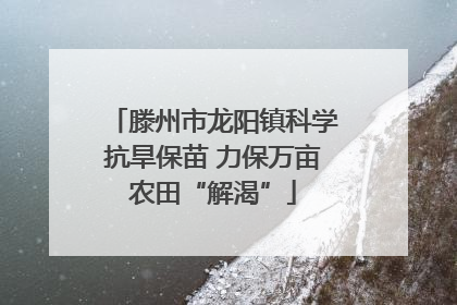 滕州市龙阳镇科学抗旱保苗 力保万亩农田“解渴”