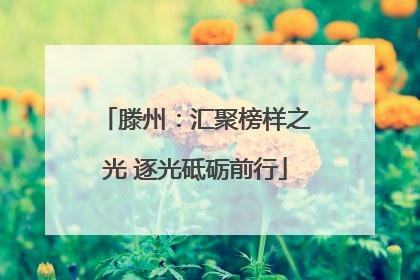 滕州：汇聚榜样之光 逐光砥砺前行