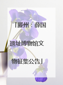滕州：薛国遗址博物馆文物征集公告
