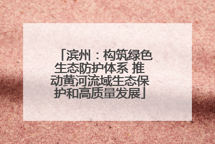 滨州：构筑绿色生态防护体系 推动黄河流域生态保护和高质量发展