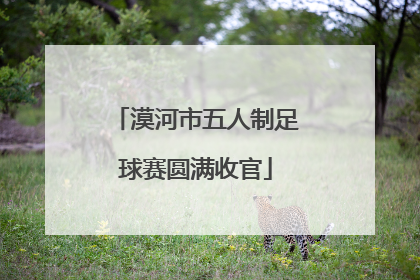 漠河市五人制足球赛圆满收官