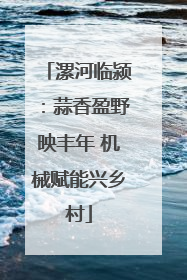 漯河临颍：蒜香盈野映丰年 机械赋能兴乡村