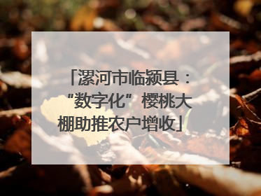 漯河市临颍县：“数字化”樱桃大棚助推农户增收