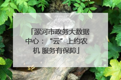 漯河市政务大数据中心：“云”上约农机 服务有保障