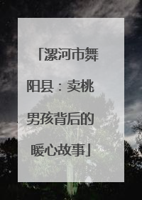 漯河市舞阳县：卖桃男孩背后的暖心故事