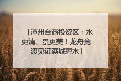 漳州台商投资区：水更清、景更美！龙舟竞渡见证满城碧水