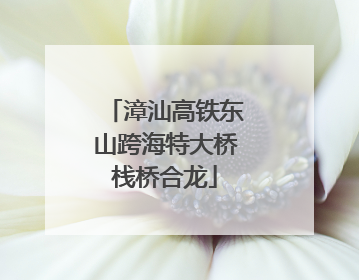 漳汕高铁东山跨海特大桥栈桥合龙