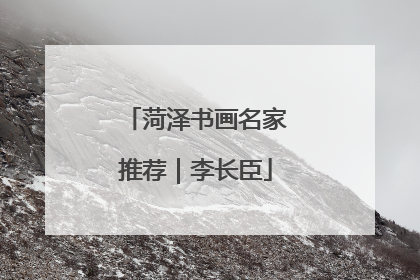 菏泽书画名家推荐｜李长臣