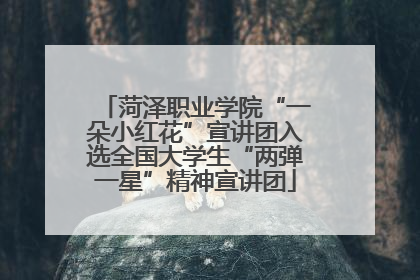 菏泽职业学院“一朵小红花”宣讲团入选全国大学生“两弹一星”精神宣讲团