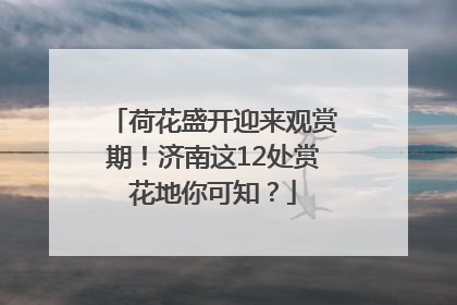 荷花盛开迎来观赏期！济南这12处赏花地你可知？