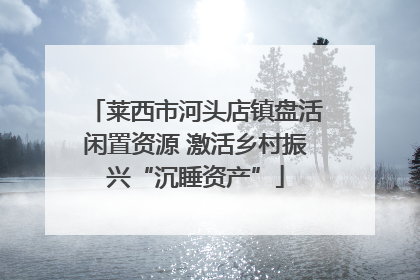 莱西市河头店镇盘活闲置资源 激活乡村振兴“沉睡资产”