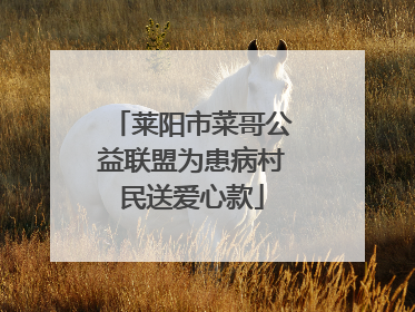 莱阳市菜哥公益联盟为患病村民送爱心款