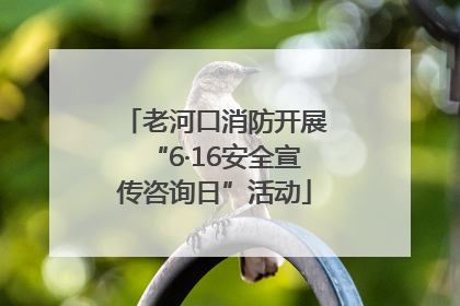 老河口消防开展“6·16安全宣传咨询日”活动
