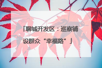 聊城开发区：巡察铺设群众“幸福路”