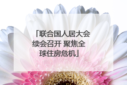 联合国人居大会续会召开 聚焦全球住房危机