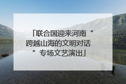 联合国迎来河南“跨越山海的文明对话”专场文艺演出