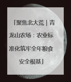 聚焦北大荒｜青龙山农场：农业标准化筑牢全年粮食安全根基