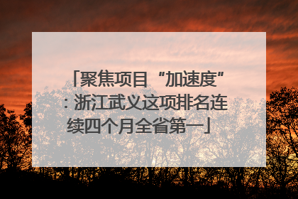 聚焦项目“加速度”：浙江武义这项排名连续四个月全省第一