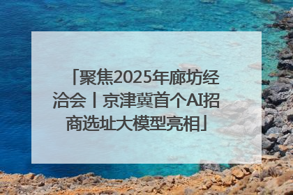 聚焦2025年廊坊经洽会丨京津冀首个AI招商选址大模型亮相