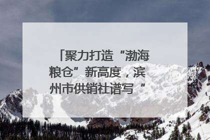 聚力打造“渤海粮仓”新高度，滨州市供销社谱写“三夏”丰收乐章