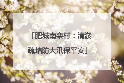 肥城南栾村：清淤疏堵防大汛保平安