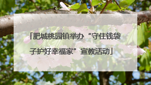 肥城桃园镇举办“守住钱袋子护好幸福家”宣教活动
