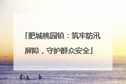 肥城桃园镇：筑牢防汛屏障，守护群众安全