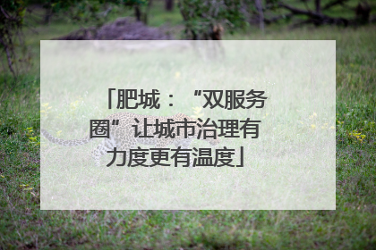 肥城：“双服务圈”让城市治理有力度更有温度